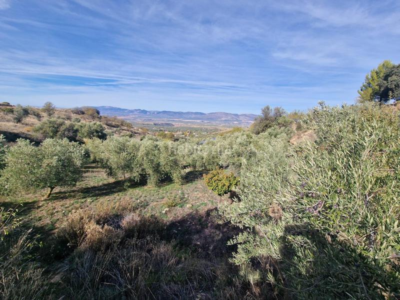 Foto 066b382e-35b6-497a-ada7-c521f8f94494. Mas dans Cogollos de la Vega