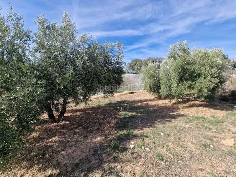 Foto 1206ee20-f2b1-43d4-afc2-64d2c5da8466. Mas dans Cogollos de la Vega