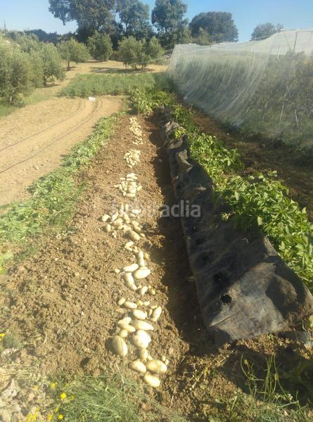 Foto 16aff460-10e8-4edb-a49f-a9b9e8310972. Mas dans Cogollos de la Vega