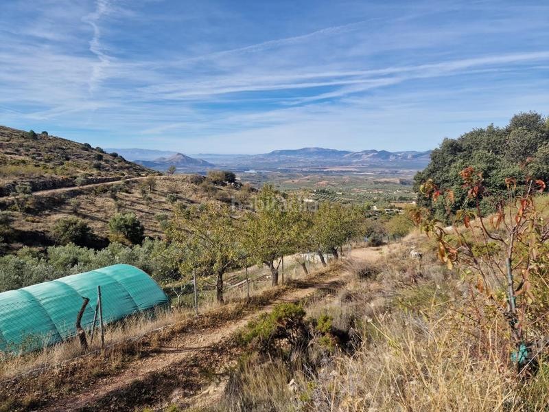 Foto 1a55efa3-9e35-4857-a796-7eac2538927d. Mas dans Cogollos de la Vega