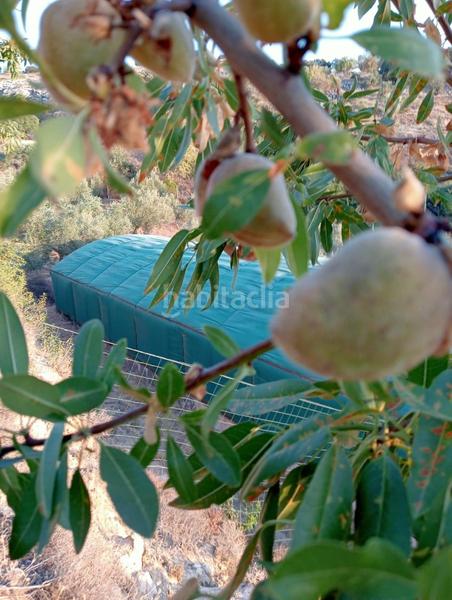 Foto 203d4f5c-7a4f-4a68-a797-713ad109e84a. Mas dans Cogollos de la Vega