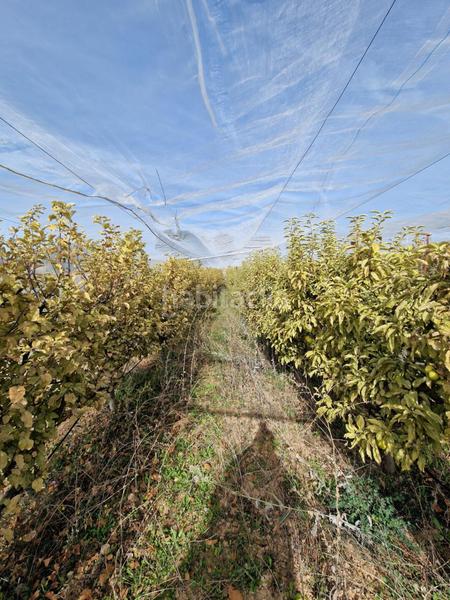 Foto 2a19cb80-66ed-47d0-85f1-cc4748e13e2b. Mas dans Cogollos de la Vega