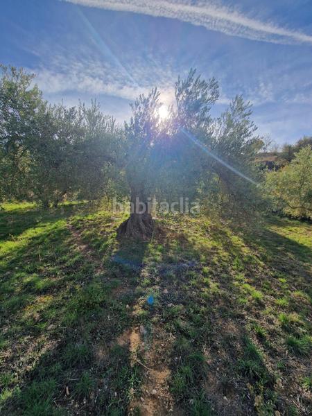 Foto 2c056926-3106-44b2-9a2c-43557993d441. Mas dans Cogollos de la Vega