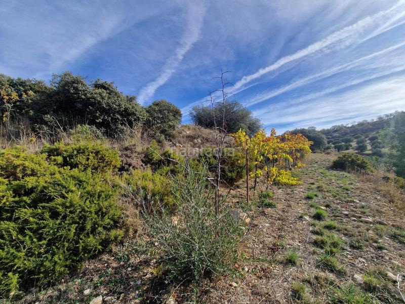 Foto 2c081985-1c3b-448e-9634-465eb50dad23. Mas dans Cogollos de la Vega