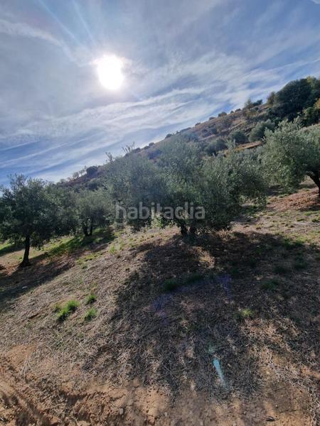 Foto 2cab022e-1b5d-4e7b-92d2-55609fe6822e. Mas dans Cogollos de la Vega