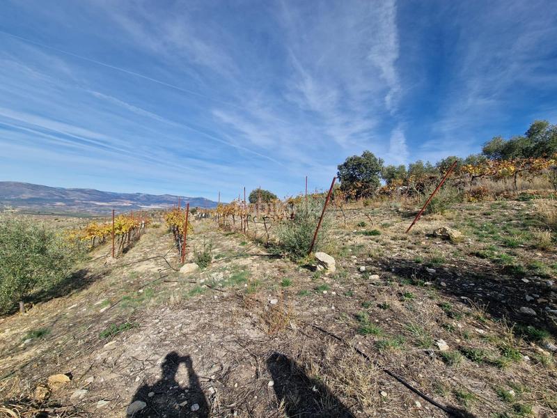 Foto 3652bade-9d96-411d-bee7-3af841994960. Mas dans Cogollos de la Vega