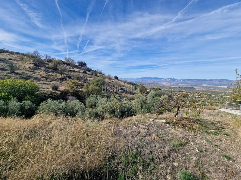 Foto 42d245d3-c177-464b-8ec1-514513407fae. Mas dans Cogollos de la Vega