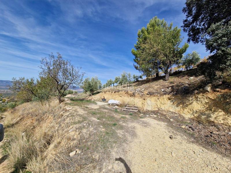 Foto 49d74a79-7168-46ef-8a90-0ba7f562f241. Mas dans Cogollos de la Vega