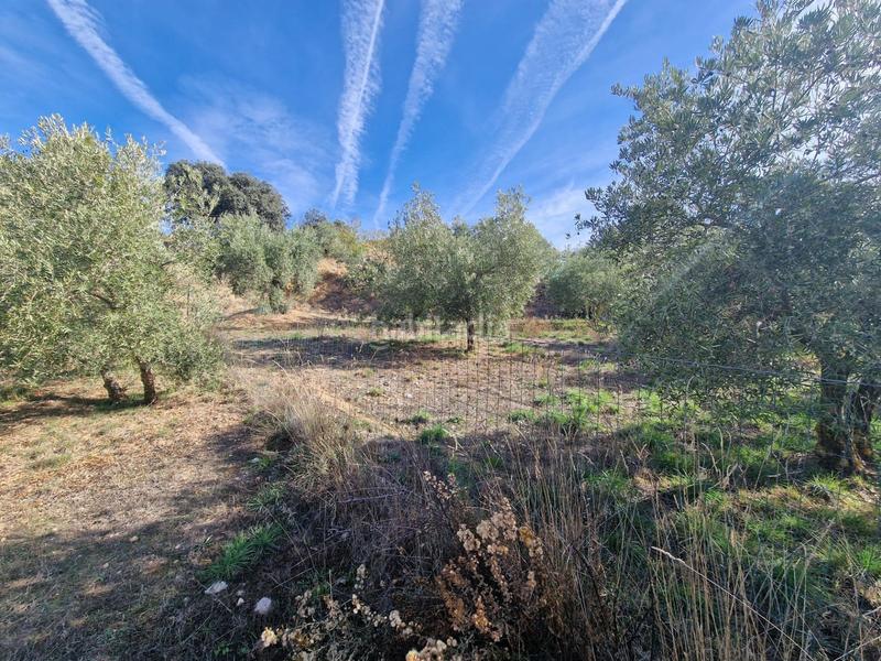 Foto 4b3c0ff9-66d2-422c-8048-040540bad373. Mas dans Cogollos de la Vega