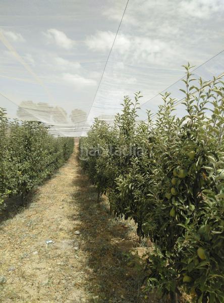 Foto 55a6826c-154c-4359-864a-a1ecd388590f. Mas dans Cogollos de la Vega