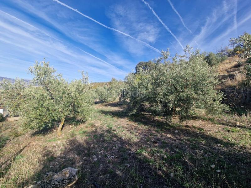 Foto 58d8ba0f-0795-435c-a10f-31d170e1d61d. Mas dans Cogollos de la Vega