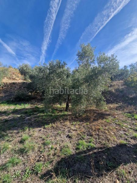 Foto 5b8c7b90-2677-49ac-b21e-5c5196e6c39d. Mas dans Cogollos de la Vega