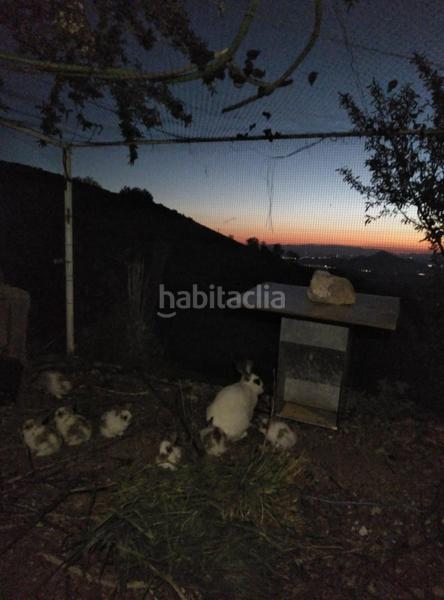 Foto 6696a665-0b11-4c34-9de8-1357d3bc40a9. Mas dans Cogollos de la Vega