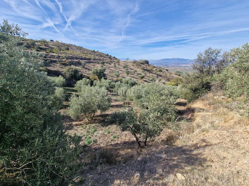 Foto 68d06279-8759-4264-97c3-794cc4188dd3. Mas dans Cogollos de la Vega