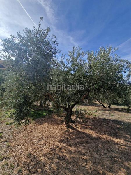 Foto 6f01b602-45f5-45dd-aea9-e8ac1dddfa19. Mas dans Cogollos de la Vega