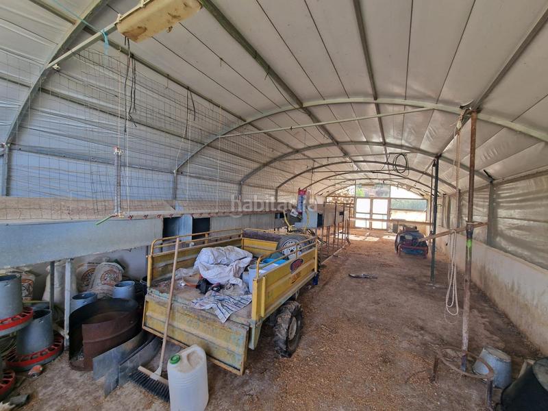 Foto 7bf3b23c-6b6a-418e-b66e-91e1f3dba4f6. Mas dans Cogollos de la Vega