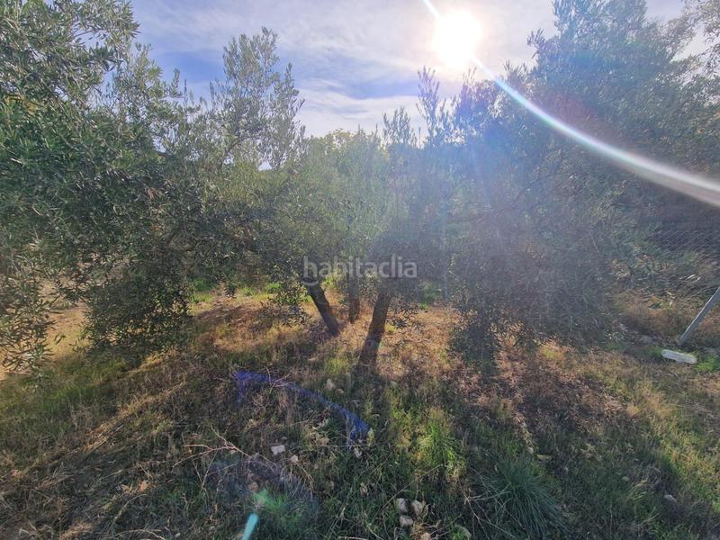 Foto 7dd105cd-36e9-487d-a7b3-392006476e95. Mas dans Cogollos de la Vega