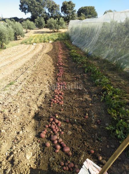 Foto 7e14d29c-445c-4ffe-b5a6-78f0f7c8eb3e. Mas dans Cogollos de la Vega