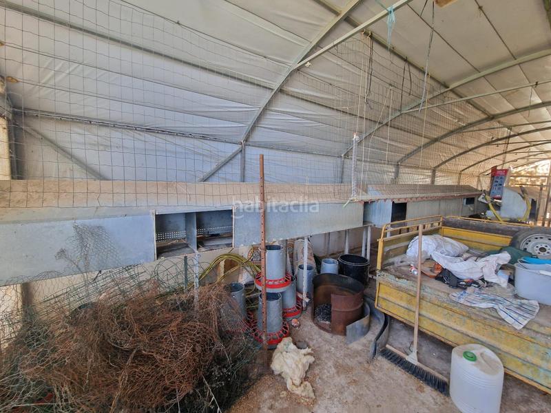 Foto 83cd27d4-18d2-476f-a2fe-34dc10c5ef8d. Mas dans Cogollos de la Vega