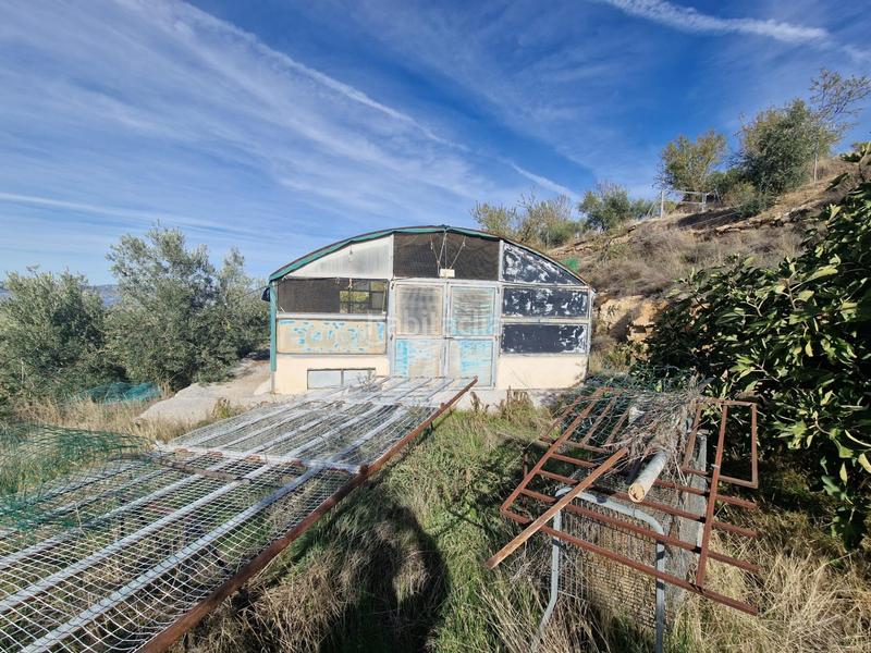 Foto 871f33bc-13e5-44f6-b2ea-7484e184c9df. Mas dans Cogollos de la Vega