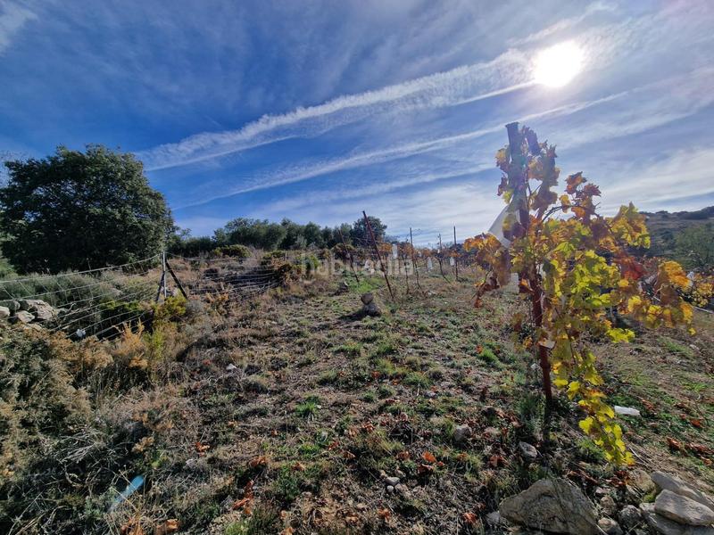 Foto 8c6d42af-7163-4650-82c3-0ac8f89d0792. Mas dans Cogollos de la Vega