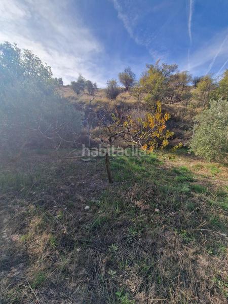 Foto 90fdde6f-ccfc-4631-84e3-663f108b1f85. Mas dans Cogollos de la Vega