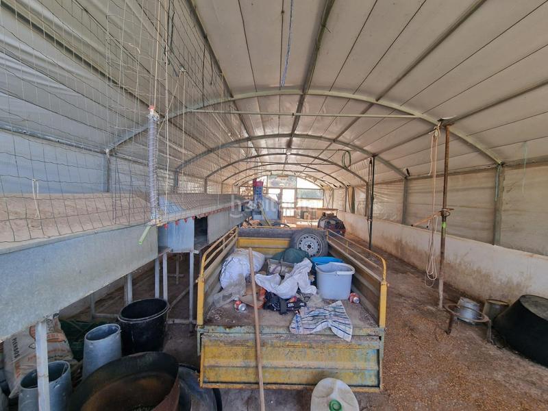 Foto 9404d247-992f-47f7-83d1-580294e77e6c. Mas dans Cogollos de la Vega