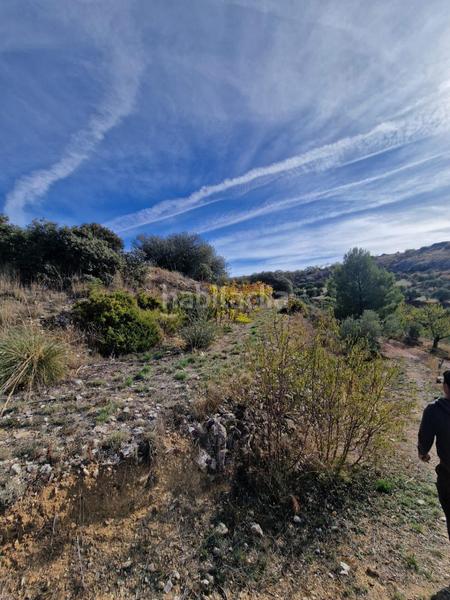 Foto a0972741-73c5-4135-bd3e-54353e100a1b. Mas dans Cogollos de la Vega