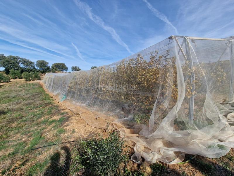 Foto a2aeb7cf-fc1b-4a1d-9204-8f980104f675. Mas dans Cogollos de la Vega