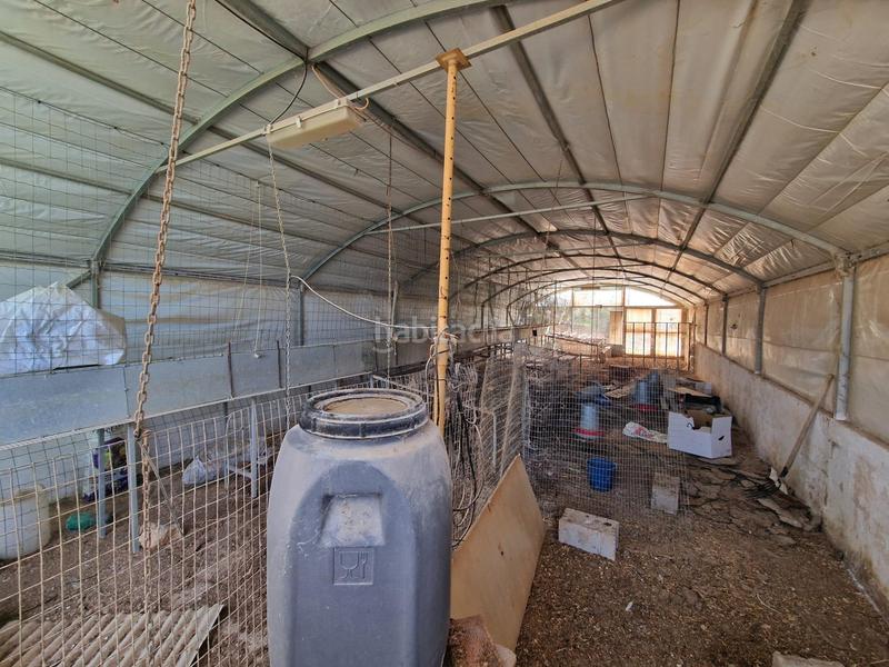 Foto a502183c-5759-4346-a76c-437e3e7ba3ab. Mas dans Cogollos de la Vega