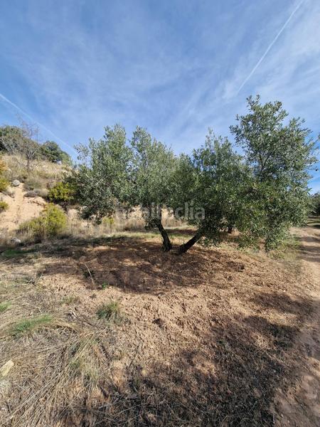 Foto a83fbea8-42aa-40d6-b88d-741edb20b0d6. Mas dans Cogollos de la Vega