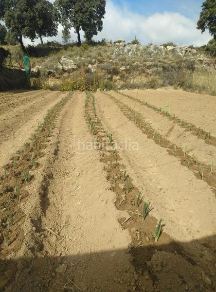 Foto ab1aa672-5f4a-45a4-b6be-3e0d8a33e9da. Mas dans Cogollos de la Vega