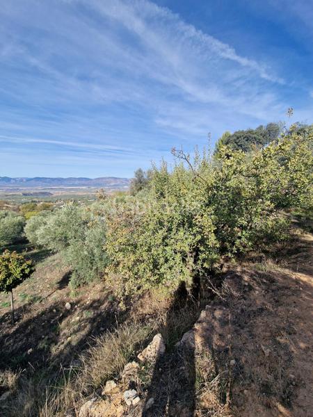 Foto b23387ac-bc9c-4b04-836b-45a2541fa65c. Mas dans Cogollos de la Vega