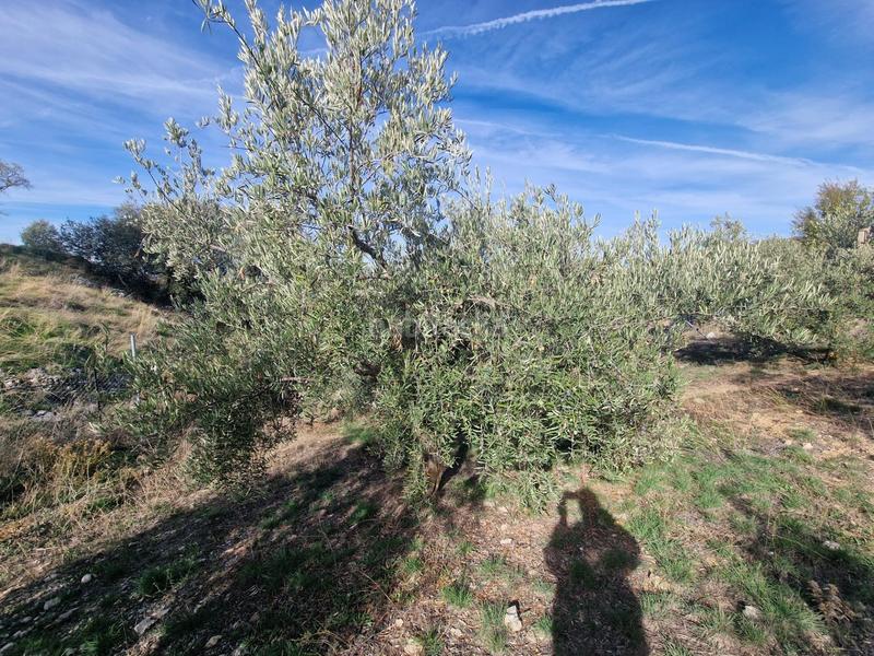 Foto c5ba773b-75cf-4658-be02-7b6a2fba389c. Mas dans Cogollos de la Vega