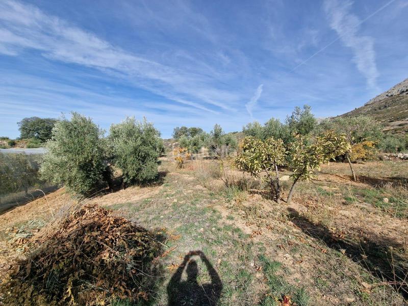 Foto cd3d62c4-99b5-4993-8599-b97521d36a4a. Mas dans Cogollos de la Vega