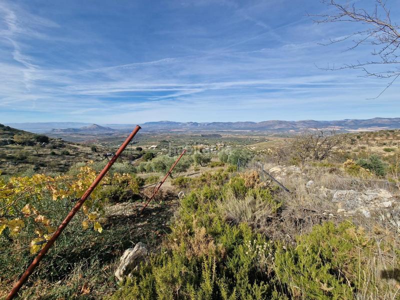 Foto d31f3690-d54b-4d31-8d78-696d423b5044. Mas dans Cogollos de la Vega