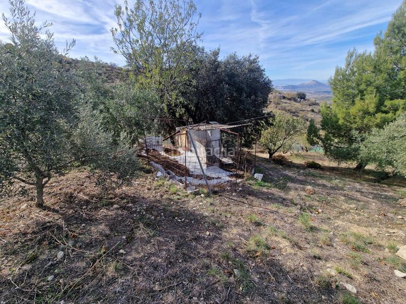 Foto d673e194-9515-4ad4-b510-59f4c5375e3b. Mas dans Cogollos de la Vega