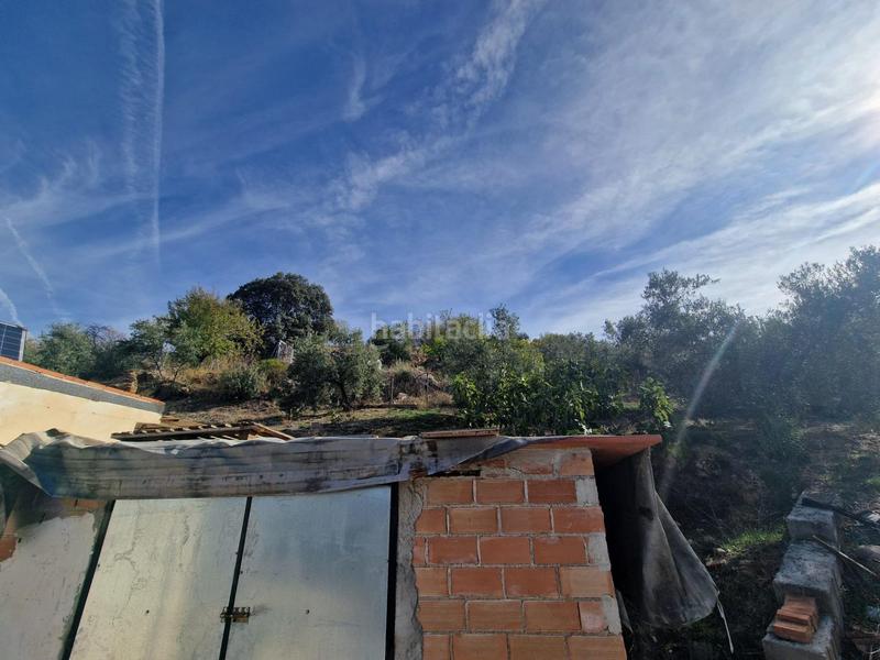 Foto d73e5c87-16d6-4402-bebc-3ff455aba463. Mas dans Cogollos de la Vega