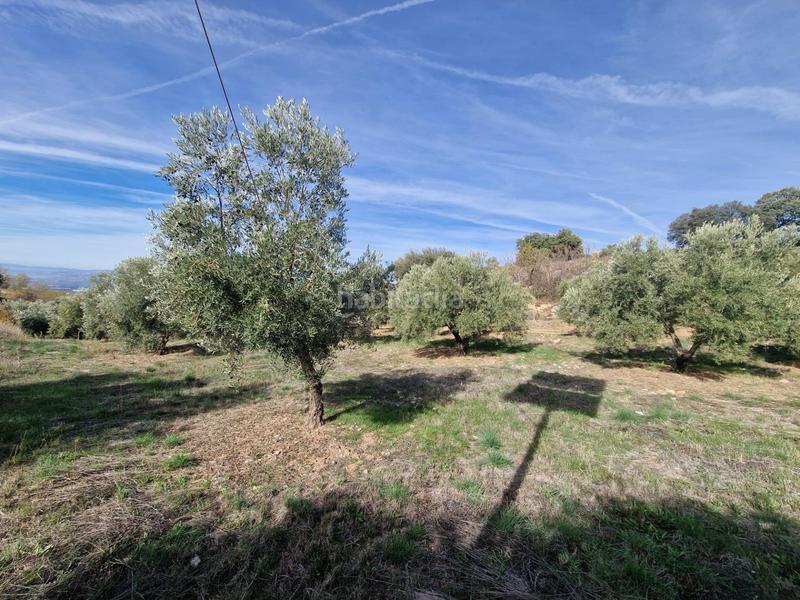 Foto dbbdb7eb-8cdf-4d53-a463-1838a71c0410. Mas dans Cogollos de la Vega