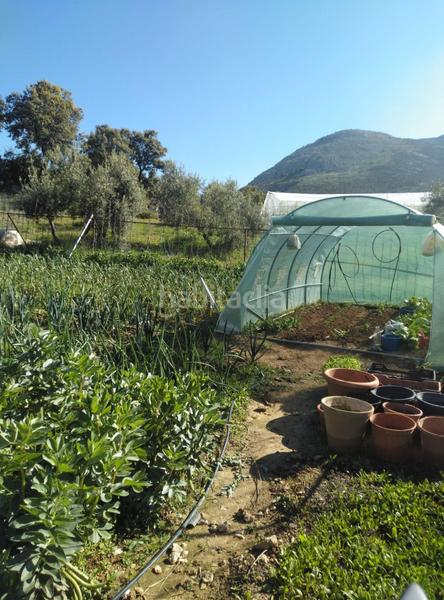 Foto f2ab3bed-443f-4b55-9906-0a8642ef7a8e. Mas dans Cogollos de la Vega