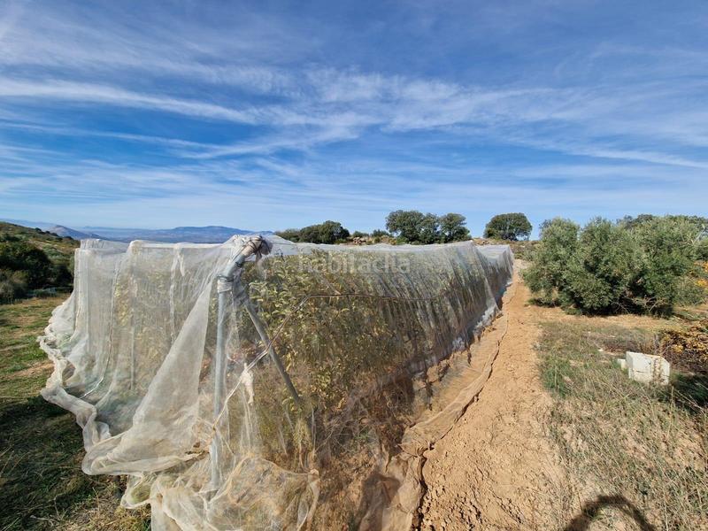 Foto f925831e-1342-4d37-b20c-11a50d4837bd. Mas dans Cogollos de la Vega