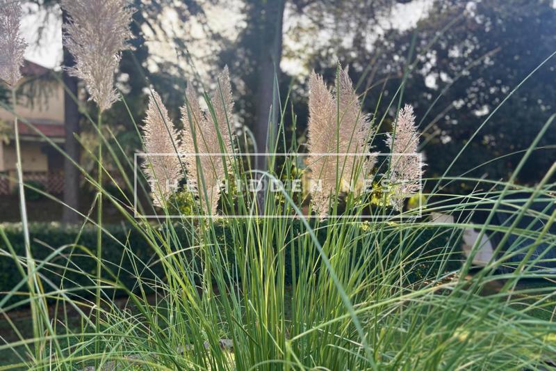 Foto 0a53d6bd-216d-4fc7-8df5-04a1d8b156be. Terrain résidentiel dans Valldoreix Sant Cugat del Vallès