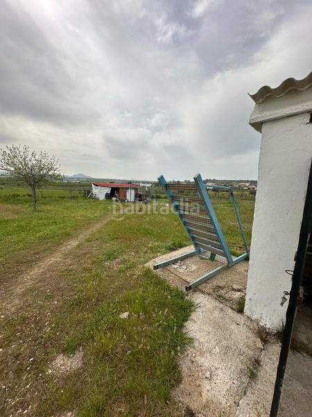 Foto e56a4723-c4e2-49cd-b680-11c3bb207a98. Mas dans Sur Mérida