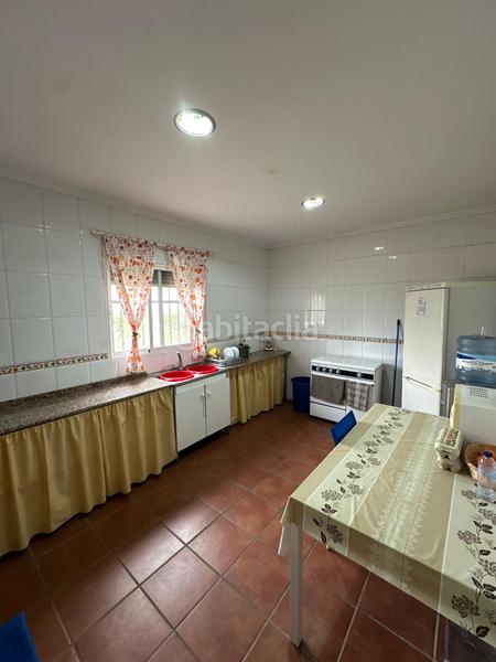 Foto f83d4472-4dc6-44ed-b723-d4d084c4c3fd. Mas dans Sur Mérida