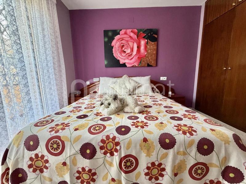 Foto 8764d0ee-a286-431f-bc17-bd8d5d09d8af. Casa chalet adosado en venta en Palafolls