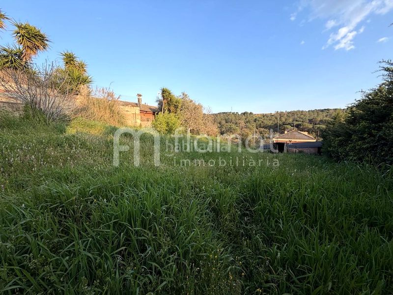 Foto 73e2e24e-6809-4d87-9348-0cc0052b60a0. Casa a terrabrava - Tordera parc Tordera