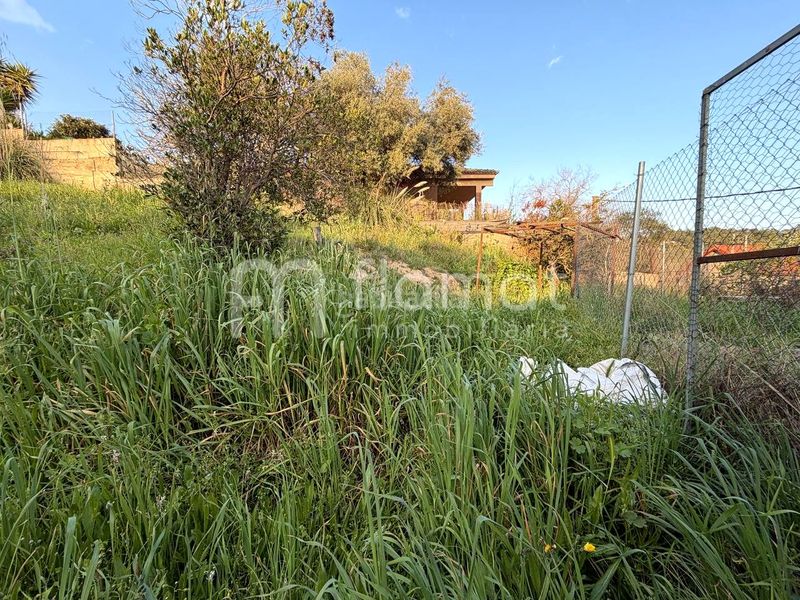 Foto d4d171c1-20b7-4e12-83f2-79ac52d25c72. Casa a terrabrava - Tordera parc Tordera