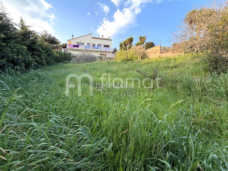 Foto d9415194-3aab-4d2b-9fd9-fe1c2ece0641. Casa a terrabrava - Tordera parc Tordera