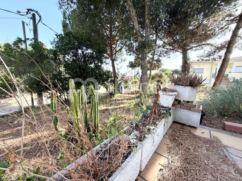 Foto 4d0051bd-1f43-4e5c-bc61-391723a1d9aa. Casa a terrabrava - Tordera parc Tordera