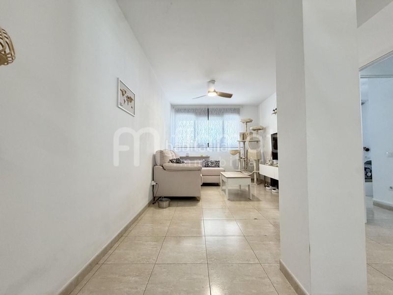 Foto 7a662638-085f-4b4a-b1cd-65e9dae65a32. Planta baixa a Palafolls